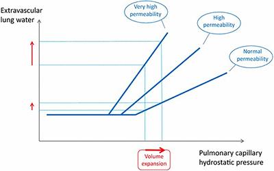 Fluid Therapy in Pulmonary Disease: How Careful Do We Need to Be?